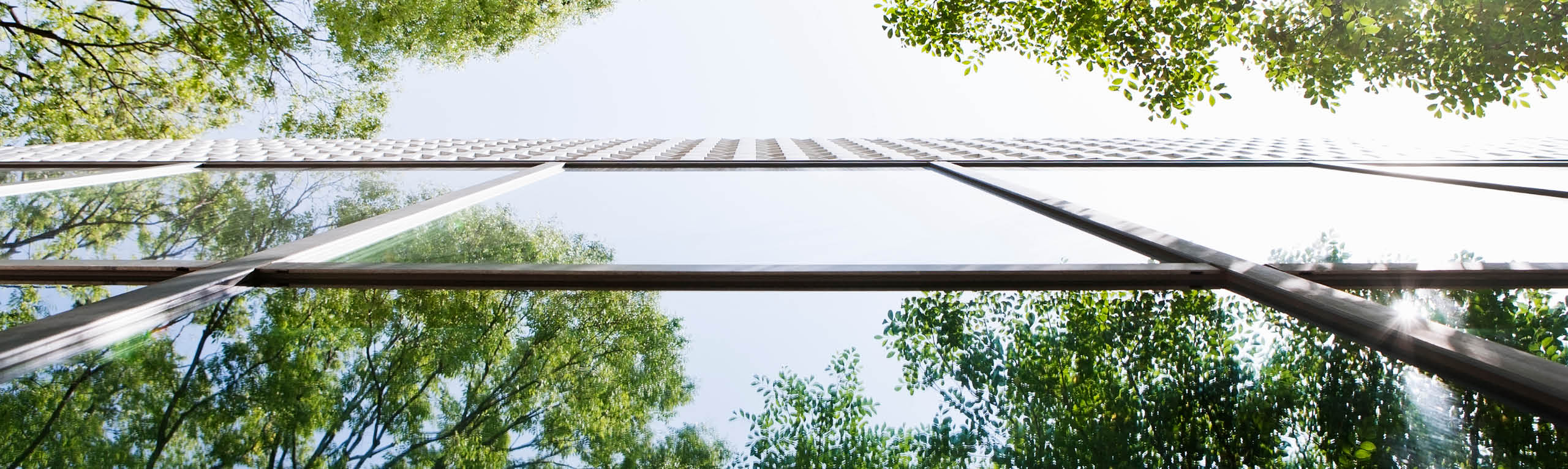 Glass-walled building reflecting trees. This is shoot with a composition to look up from a lower place.