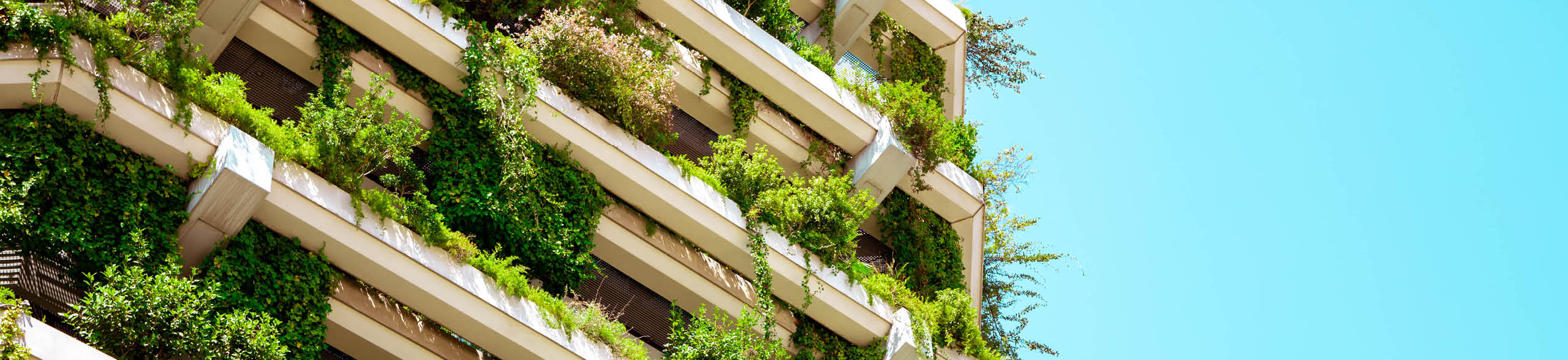 Sustainable Building with green vertical garden fa ade in the city with blue sky.