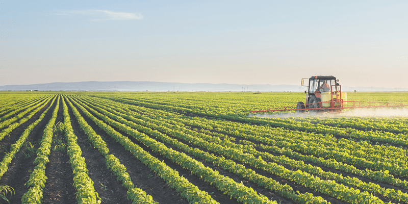 Tractor spraying soybean field at spring 
