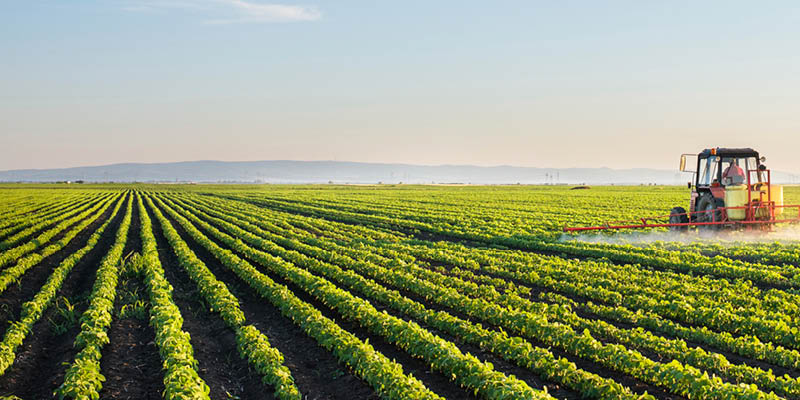 Tractor spraying soybean field at spring 