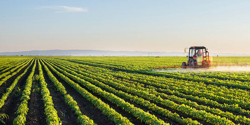 Tractor spraying soybean field at spring 