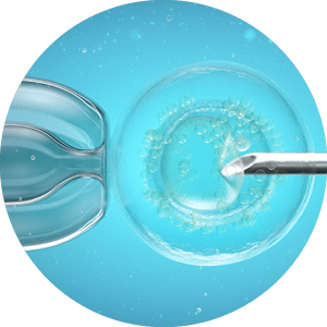 In vitro fertilisation (IVF), computer illustration