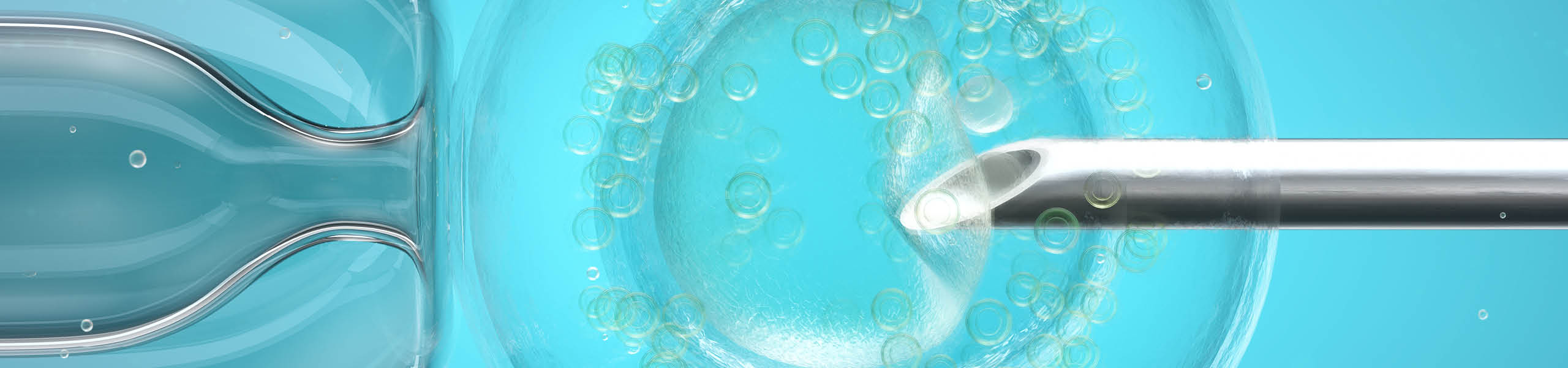 In vitro fertilisation (IVF), computer illustration