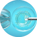 In vitro fertilisation (IVF), computer illustration