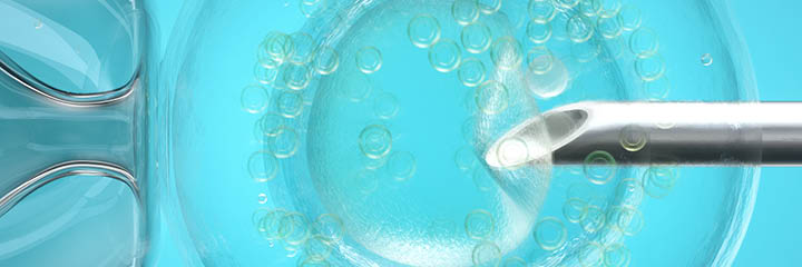 In vitro fertilisation (IVF), computer illustration