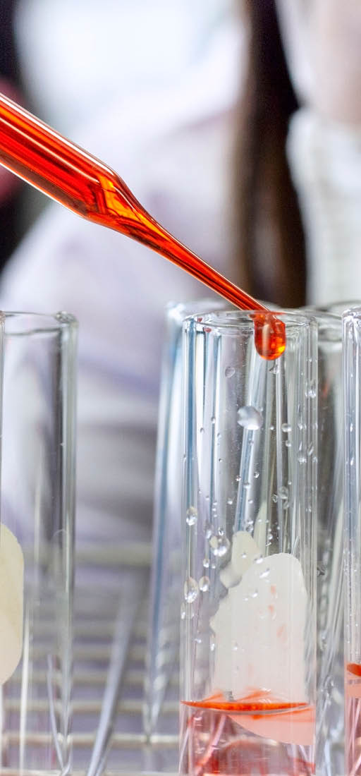 Laboratory concept: Close up picture of scientist use the dropper transfer the chemical reagent in the test tube